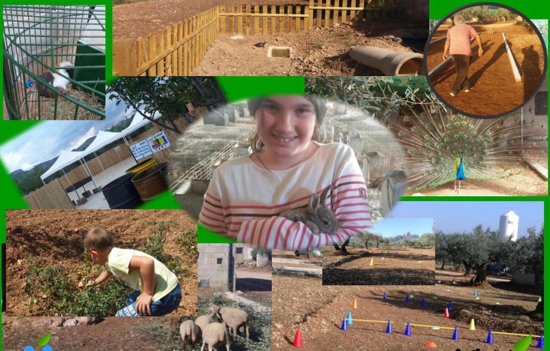 Hostal La Panavera El Perelló المظهر الخارجي الصورة